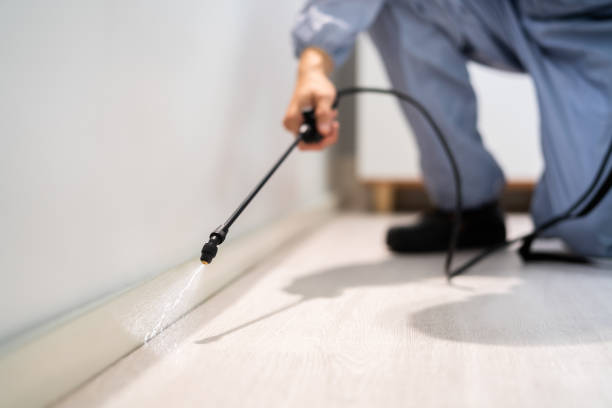 Licensed Pest Control service in Henry County County, IL - Nex Pest Control