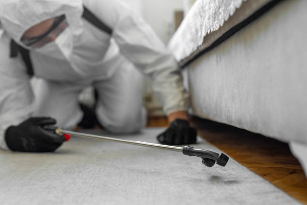 Professional Pest Control technician working in Henry County County, IL